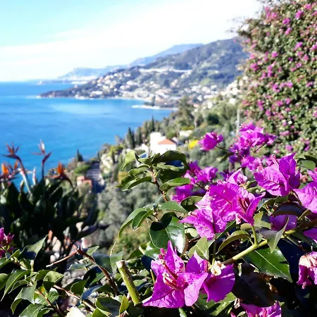 Fiorita