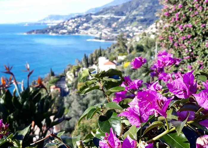 Fiorita